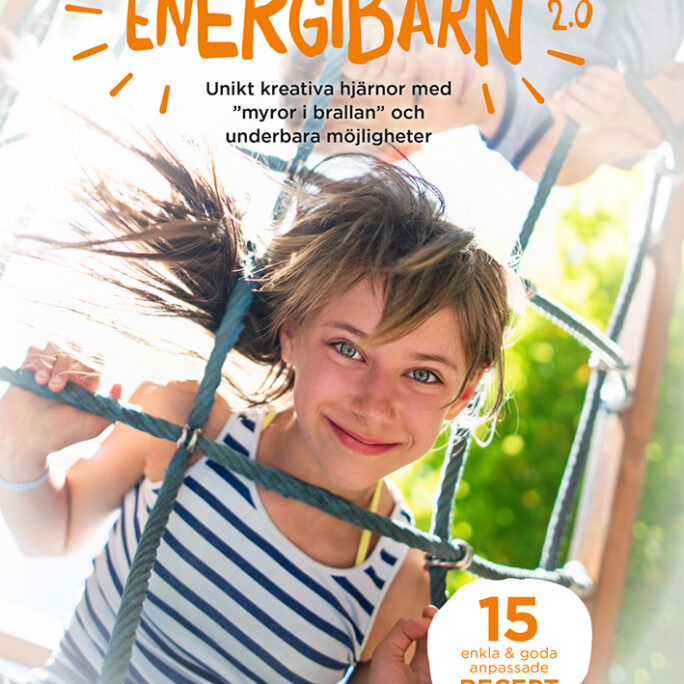 Energibarn 2.0 (bok)